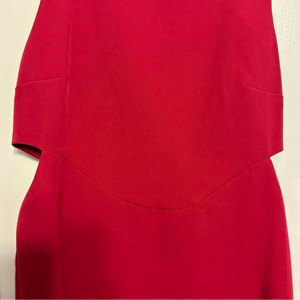Elegant Redish Magenta Sleeveless Dress - Picture 5 of 6